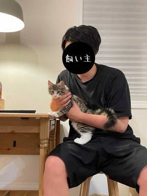 生後３か月の子猫、１０か月後にこうなる　写真に「そうはならんやろ」「全然違う」