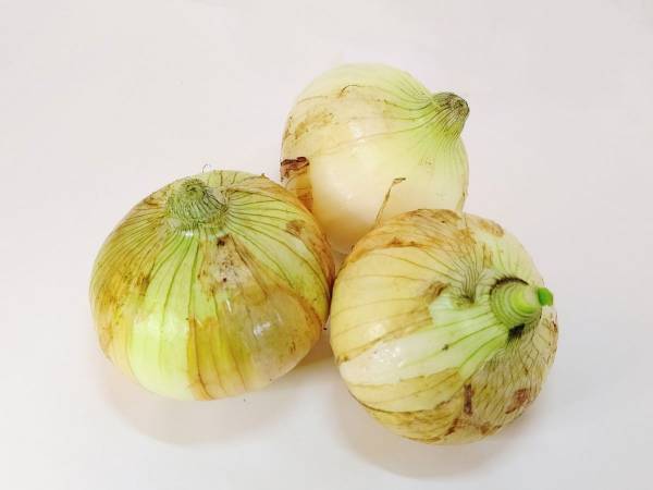 『ゆかり』を使った新玉ねぎのアレンジレシピに「これはおいしそう」