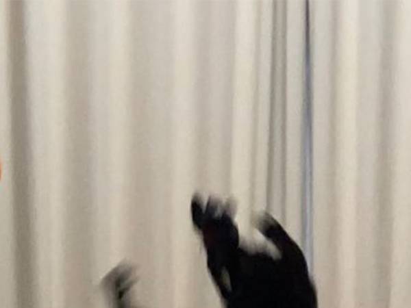 黒い物体は何…？　３年前から変わらないことに「元気な証拠」「激しい」