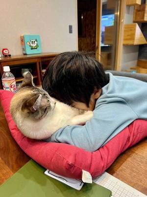 『猫吸い』をする息子が微動だにしない　「猫もずっと吸ってるな…って顔してる」