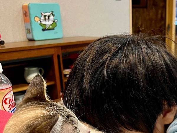 『猫吸い』をする息子が微動だにしない　「猫もずっと吸ってるな…って顔してる」