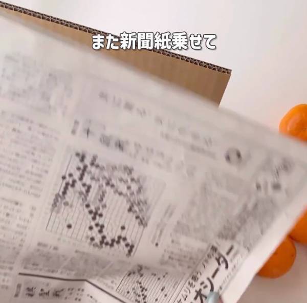 大量のミカンもこれで解決！　おいしさが長持ちする保存方法に「コレやってみます」