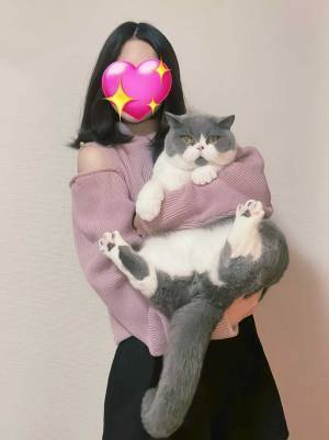 幼い顔立ちの子猫　数年後の姿に「貫禄すら感じる」「素晴らしい成長ぶり」