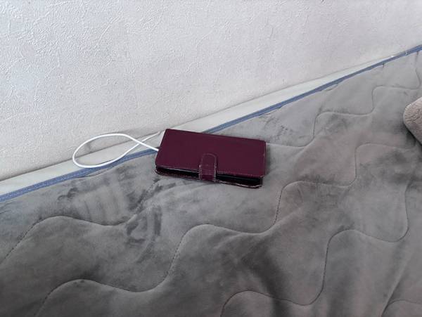 充電されなかったスマホ　写真に「ワロタ」「そっちが本体だったか」