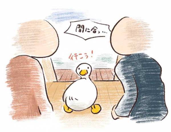 身支度をする飼い主　アヒルに目を向けると？　「意味も分かっとらんのに…」