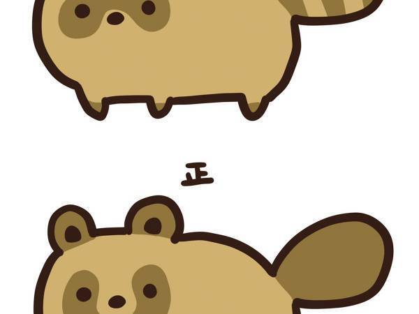 「え、マジで！？」「誤解してた」　『正しいタヌキ』のイラストに衝撃走る！