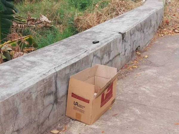 「命をゴミのように…」　橋のたもとに放置された怪しい箱　中身に言葉を失う