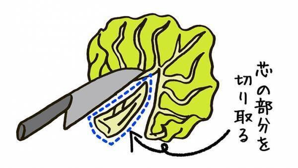 ふわふわの千切りキャベツが食べたい！　マルエツ直伝のテクを真似すれば？