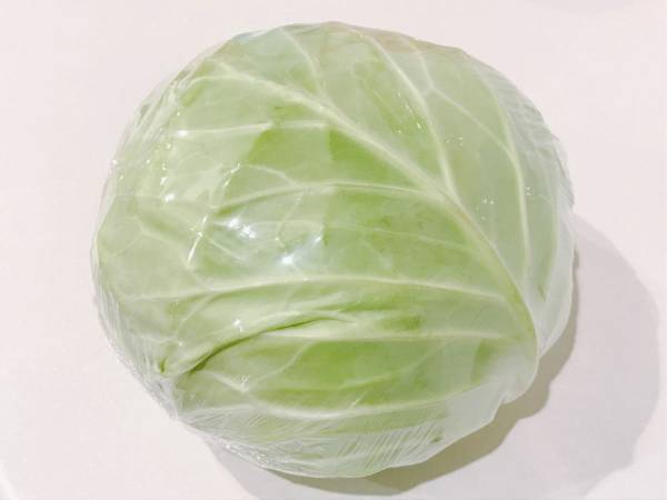 たったこれだけで！？　 キャベツの鮮度を長持ちさせる驚きの方法とは