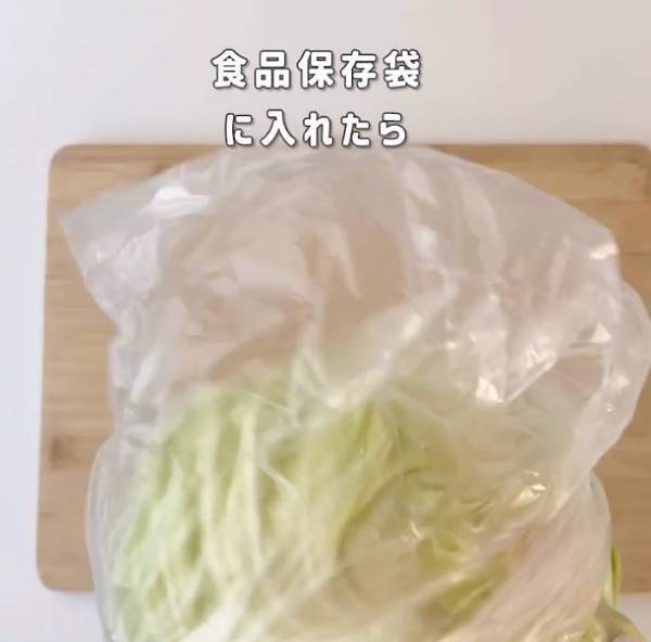 たったこれだけで！？　 キャベツの鮮度を長持ちさせる驚きの方法とは