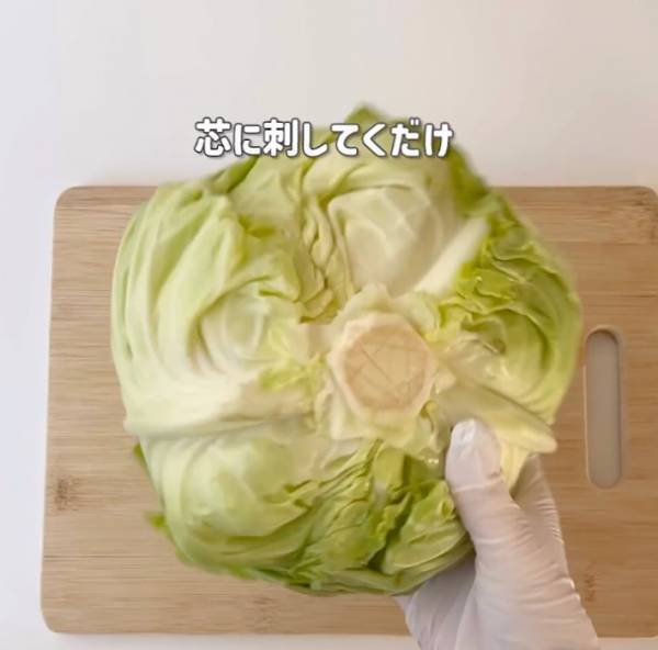 たったこれだけで！？　 キャベツの鮮度を長持ちさせる驚きの方法とは
