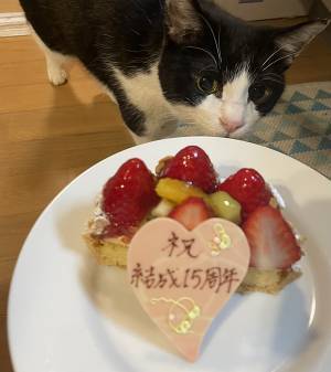 妻が用意した『結婚記念ケーキ』　プレートを見ると…「合ってるけど違う！」