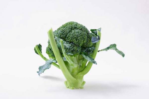 捨てがちなブロッコリーの茎　アレに浸けたら…「おしんこ感覚！」