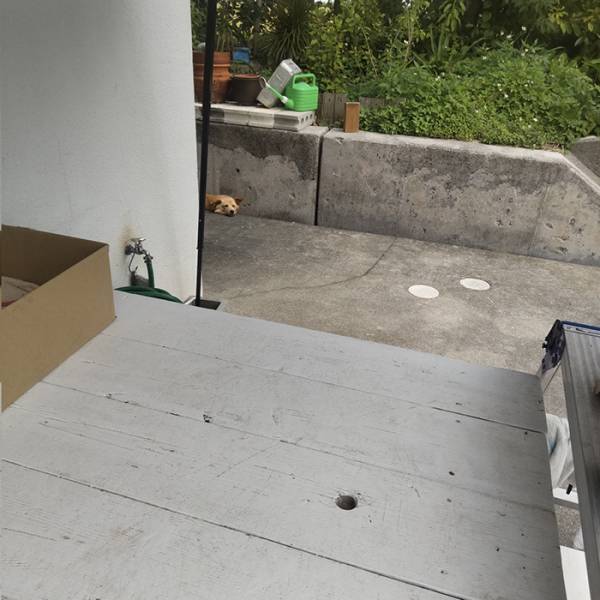 店の前で通行人が「おわっ！ビックリしたっ！」　犬の姿に思わず二度見