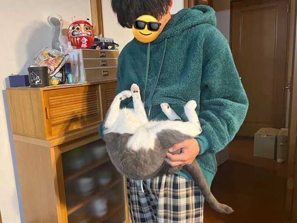 ベッドに連れて行かれる猫　その姿に「野生を失いすぎ」「爆笑した」