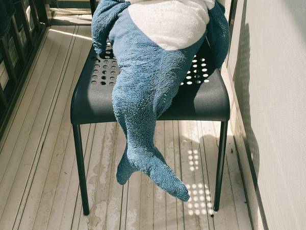 「洗ってもらった側のくせに…」　ぬいぐるみの写真に「じわじわくる」