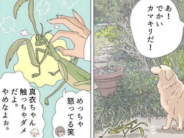 ある生物を見つけたアヒル　その行動に、飼い主が？