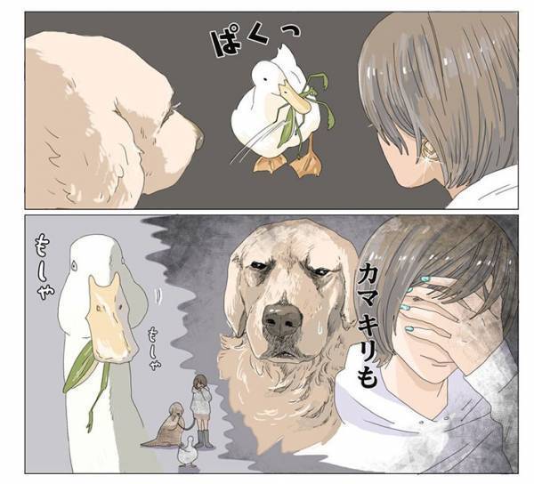 ある生物を見つけたアヒル　その行動に、飼い主が？