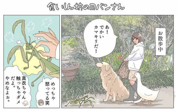 ある生物を見つけたアヒル　その行動に、飼い主が？