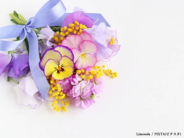 人気漫画『ヒロアカ』が１億部突破　原作者・堀越耕平からのコメントも