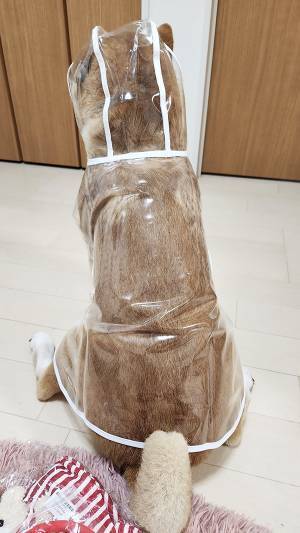 柴犬にカッパを買ったら「完全にそれ」「懐かしすぎる」
