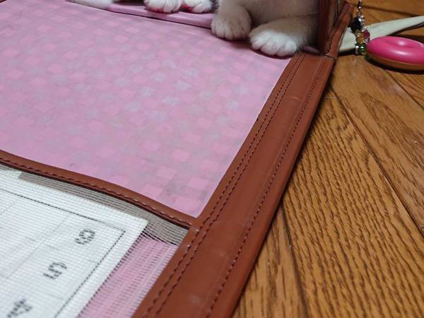 「ランドセルを放置するとこうなる」　新１年生への注意喚起に「笑った」「コレは大変」