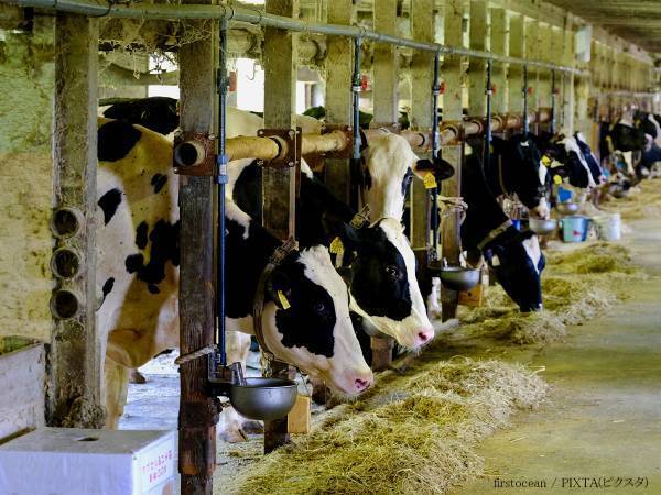 ダメ絶対！　農水省の注意喚起に激怒　「自覚を持って」「当たり前のこと」