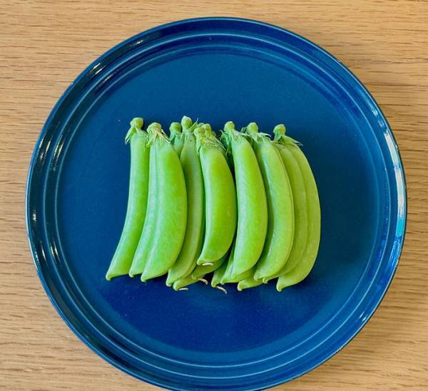 JA全農のアイディアに「思いつかなかった！」 スナップエンドウは炒めるだけで？