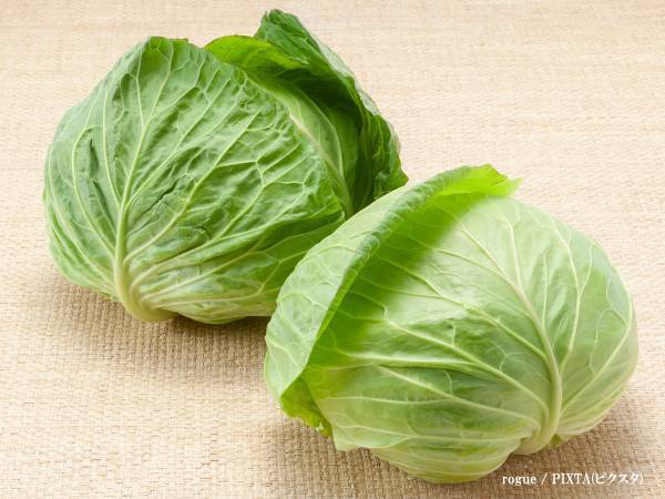 キャベツを食べたら『謎の異臭』が！　「捨てたほうがいい？」に農林水産省は？
