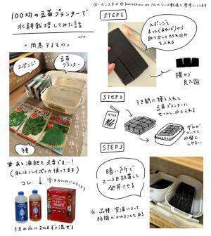 『豆苗プランター』に別のモノを植えた結果…「こんなに！？」「やってみたーい！」