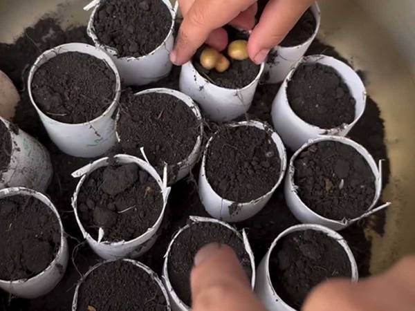 トイレットペーパーの芯、捨ててない？　思わぬ活用術に「こんな使い道があるんだ」