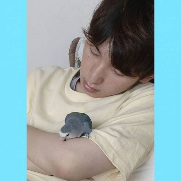 「ひぃー！」　寝ている間にペットが取った行動が…　「衝撃」「人と一緒…」