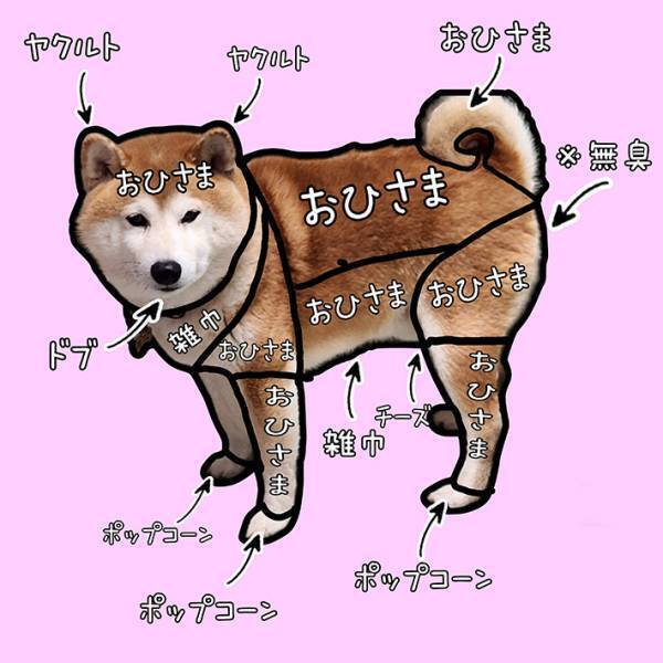 １２万人が笑った、柴犬の『香り一覧表』　辛辣な表現に「吹いた」「落差がすごい」