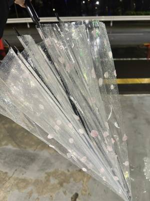 『春の嵐』でビニール傘がこんなことに！　写真に「粋ですね」「めっちゃいい」