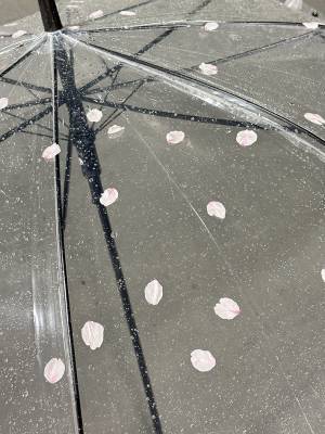 『春の嵐』でビニール傘がこんなことに！　写真に「粋ですね」「めっちゃいい」