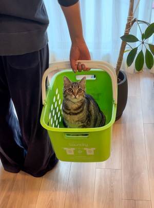 「干し忘れていますよ！」　洗濯を終えた飼い主がカゴを持つと…？
