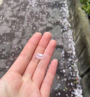 大学内に「ご自由にお取り下さい」のケースが　中から取ったモノに「最高すぎる」