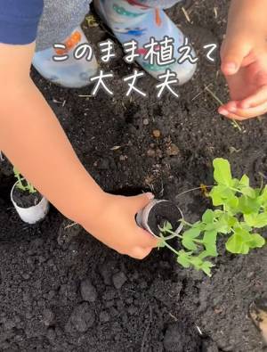 トイレットペーパーの芯　思わぬ活用法に「もったいないことしてた…」