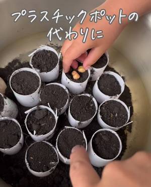 トイレットペーパーの芯　思わぬ活用法に「もったいないことしてた…」