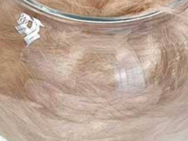 おいおい嘘だろ…　丸いグラスの中に入っている正体に「思わず二度見した」「カフェオレかと」