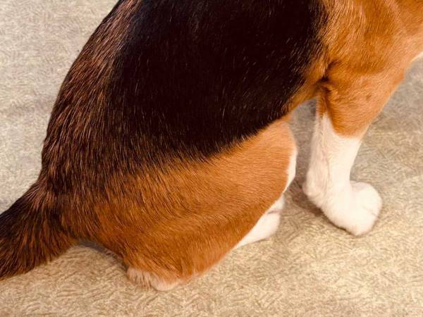 「かわいい」といわれてご機嫌だったのに？　注射後の顔がこちらです