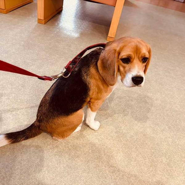 「かわいい」といわれてご機嫌だったのに？　注射後の顔がこちらです