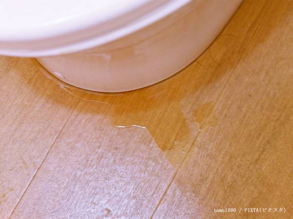 突然の事態にパニック！　TOTOからの注意に「ちゃんと覚えよう」