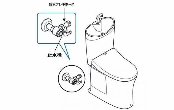突然の事態にパニック！　TOTOからの注意に「ちゃんと覚えよう」