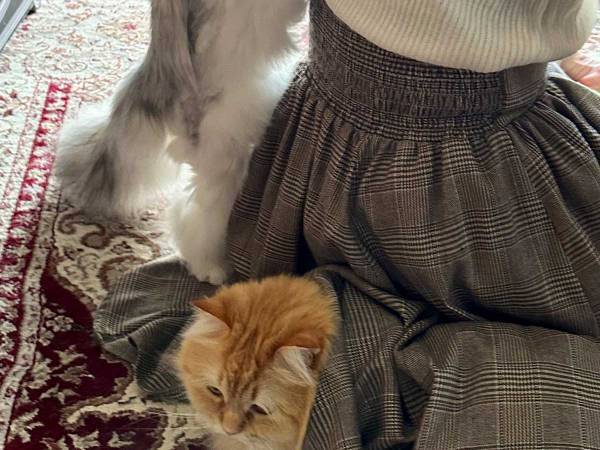 出かけることを察知した猫　行動に「笑った」「これは出発しづらい…」