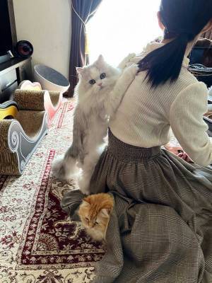 出かけることを察知した猫　行動に「笑った」「これは出発しづらい…」