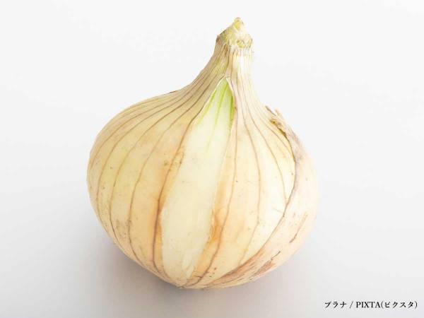 「新玉ねぎ、袋買いしてもすぐなくなる」　企業が教える『楽うま』レシピがこちら
