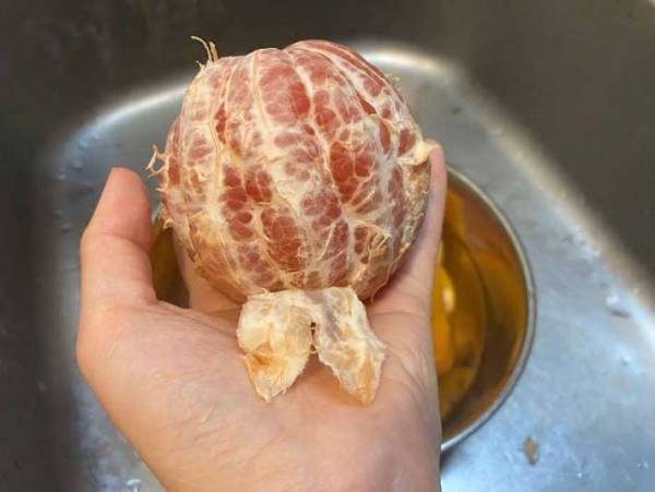 みかん感覚で食べられる！？　グレープフルーツ皮むきが超ラクになる裏技