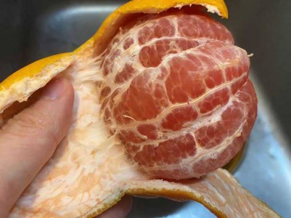 みかん感覚で食べられる！？　グレープフルーツ皮むきが超ラクになる裏技