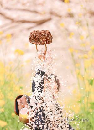 「想像の１００倍多いんよ」　期待と違う写真に「桜吹雪というより…」